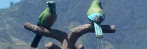 arbol1330's profile banner image
