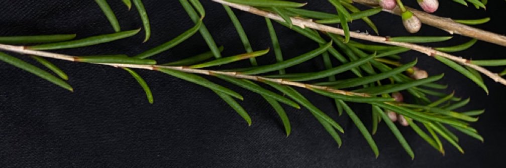 a_favn's profile banner image