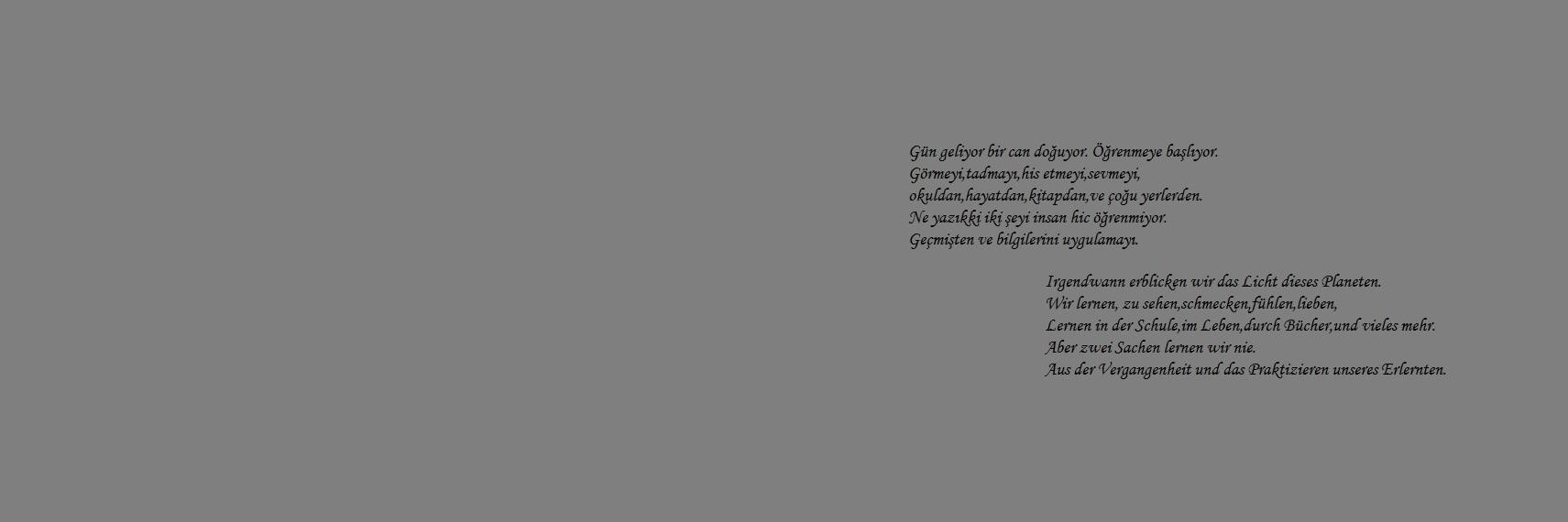 AliYALPI's profile banner image