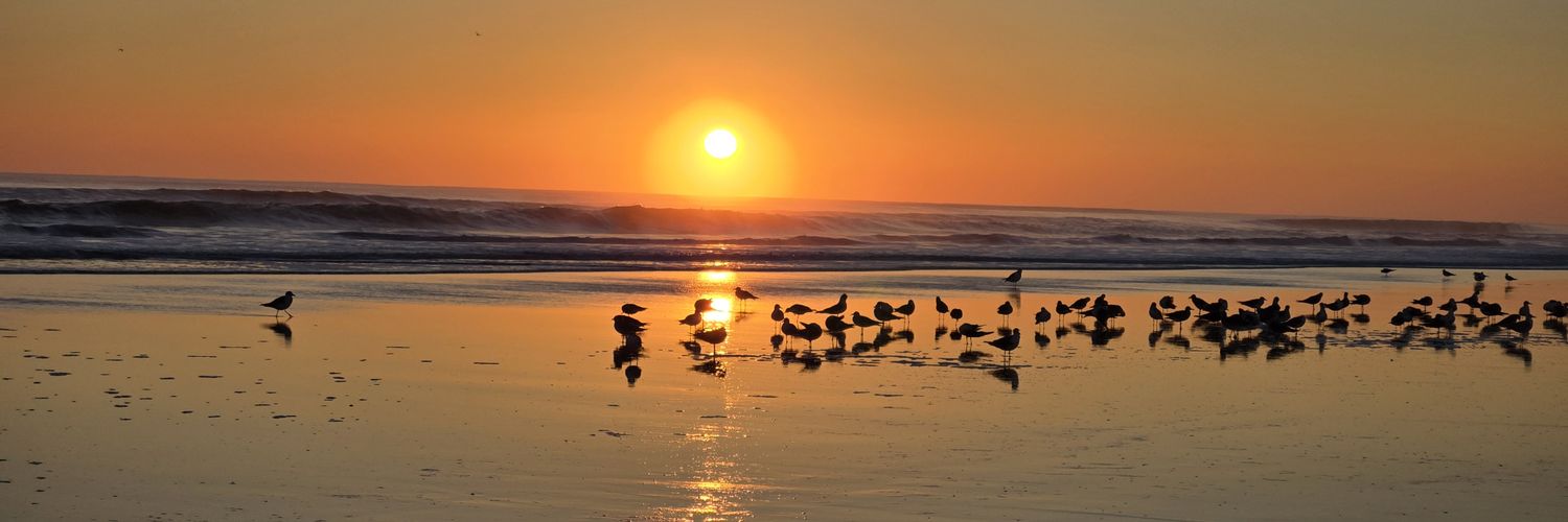 Jeff Overbaugh banner