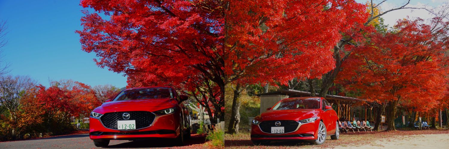 eito_squirrel's profile banner image