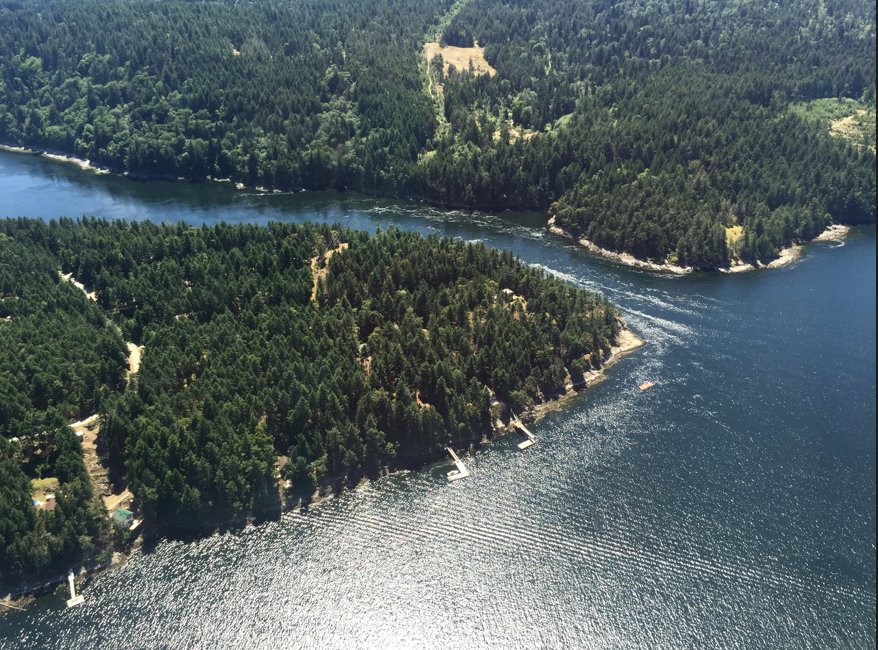 Kate Steinmeyer banner