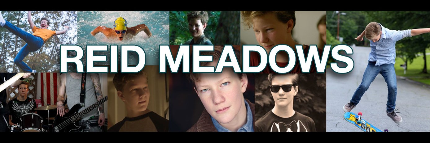 Reid Meadows banner
