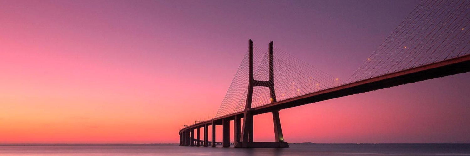 Paulo Gonçalves banner