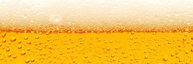 Progressive D banner