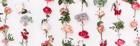 kayteboyle's profile banner image