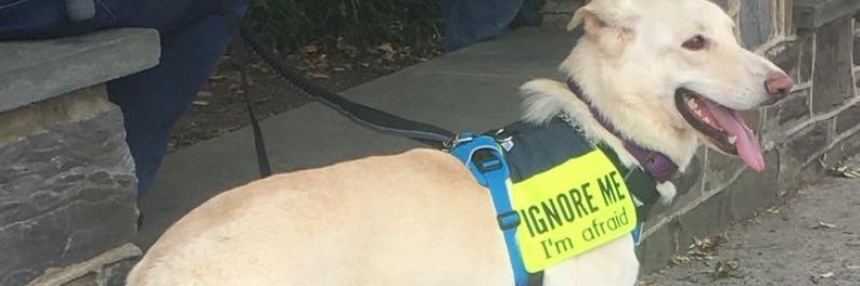 lmckillo's profile banner image