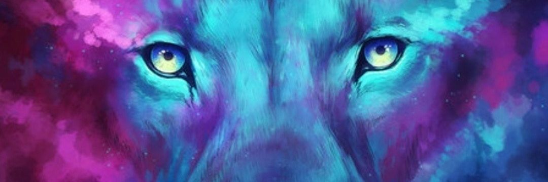 k_s_box's profile banner image