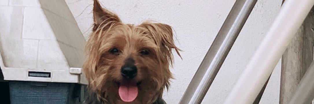 GerardoRomeu's profile banner image