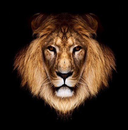 Charles55853667's profile banner image