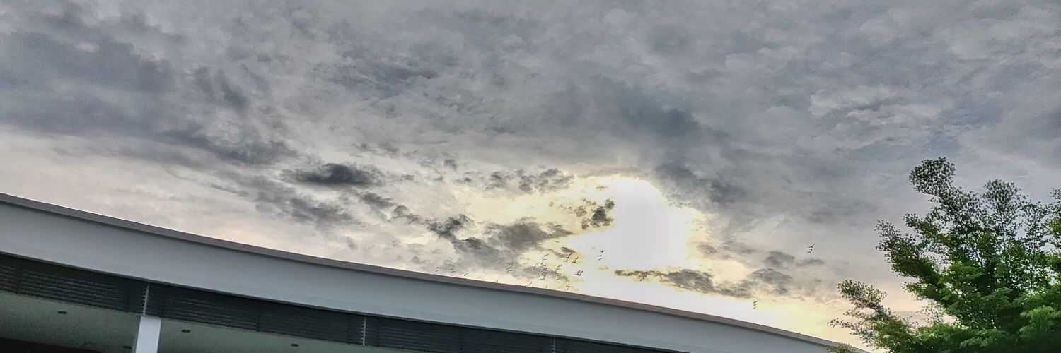 aemieee's profile banner image