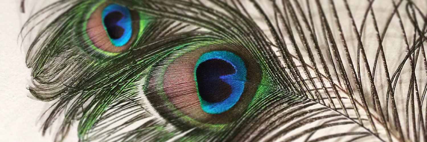PeacocksParty's profile banner image
