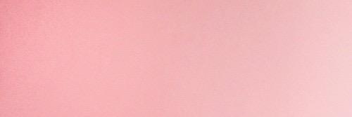dianiileon's profile banner image