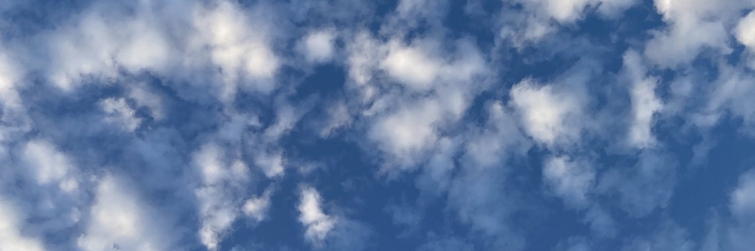 Gerividal's profile banner image