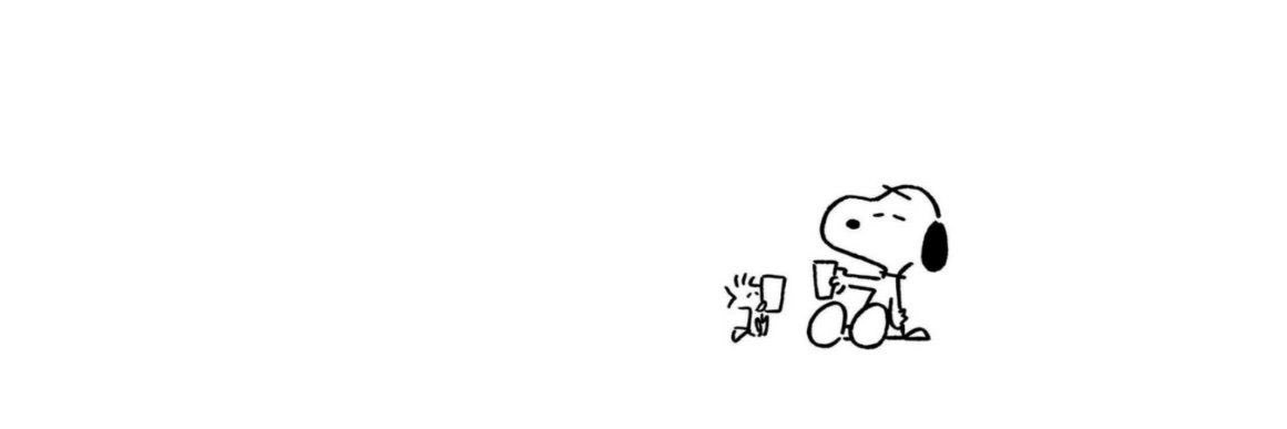 WallauerMarissa's profile banner image