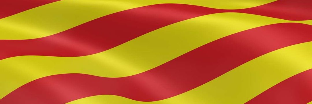 Antoni de Fluvià banner