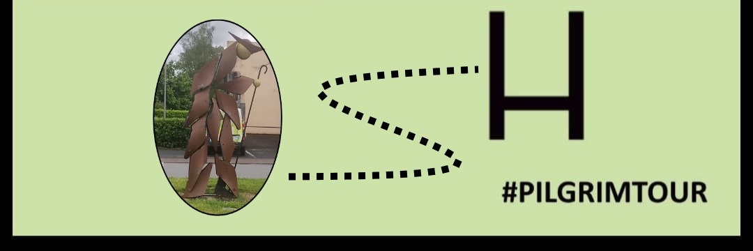 Oscar Martín 🏉 banner