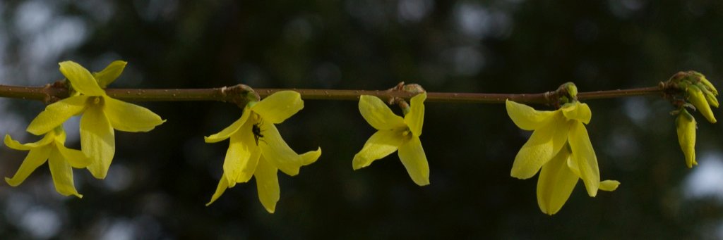 datigrezzi's profile banner image