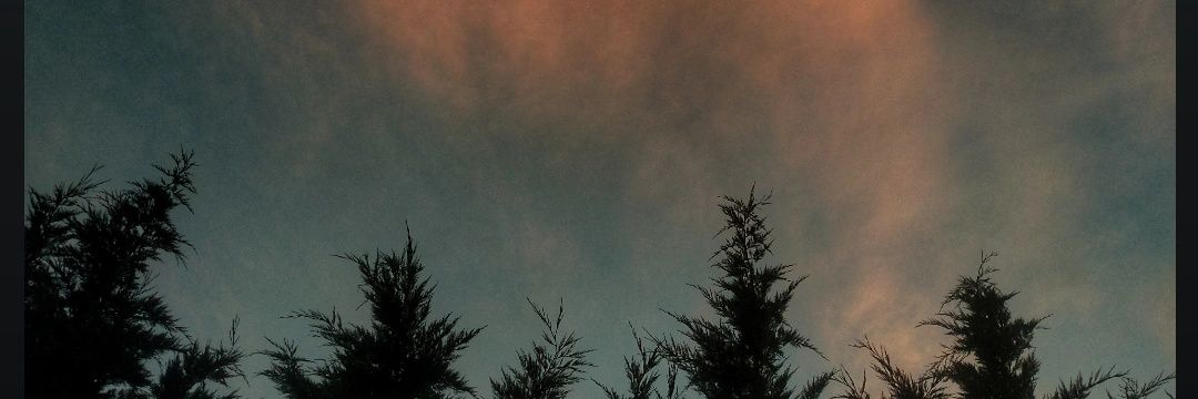 aziz9enc's profile banner image