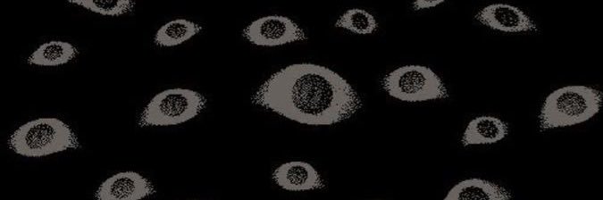 untildagrave's profile banner image