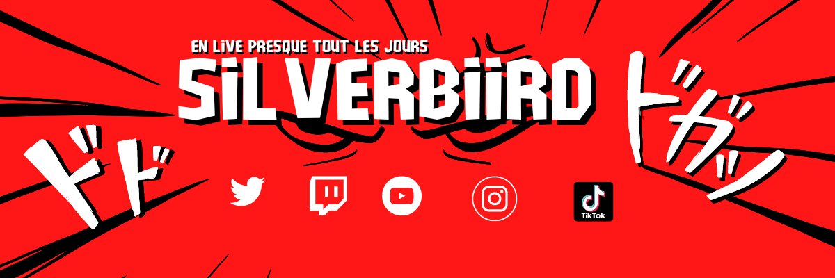 SilverbirdFr's profile banner image