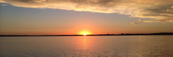 Trippster_ Profile Banner