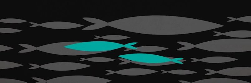 xandeamb's profile banner image