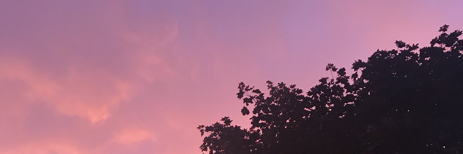 yanxv's profile banner image