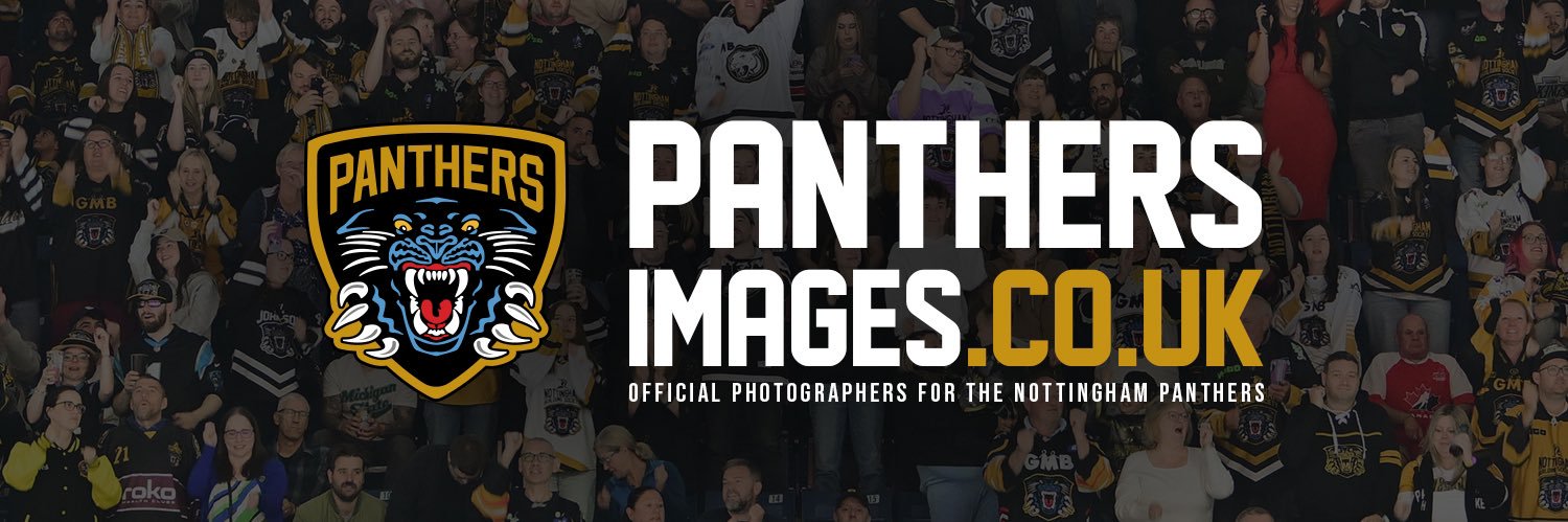 Panthers Images banner