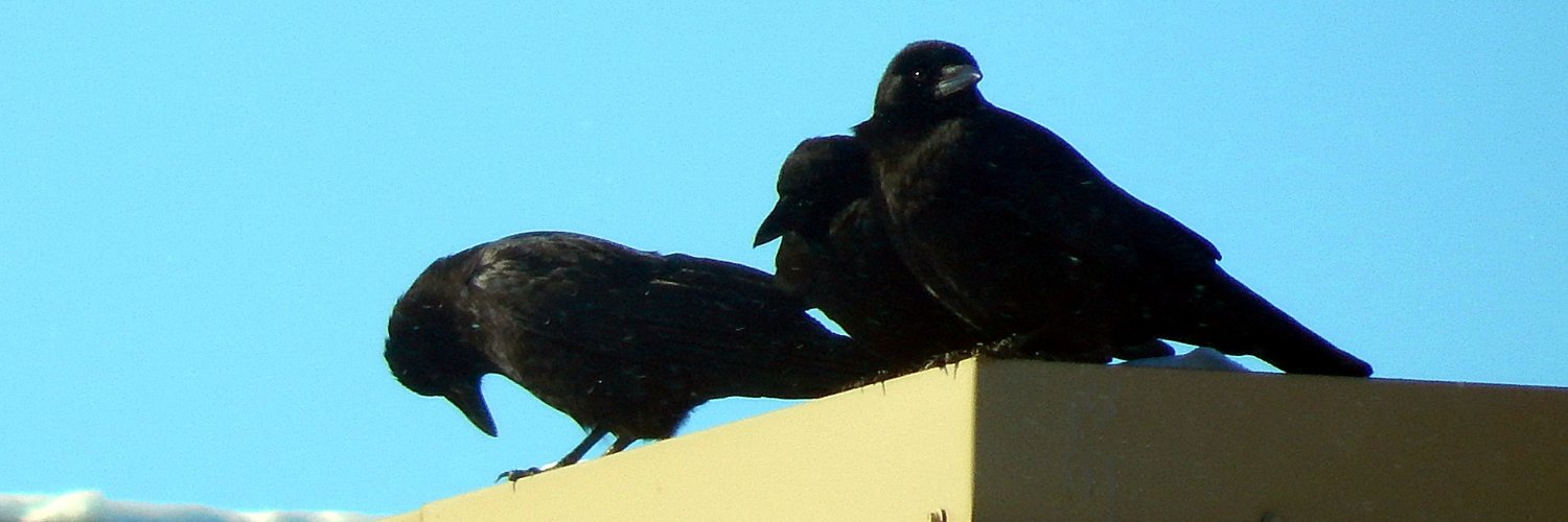 AlsoThadeaux's profile banner image