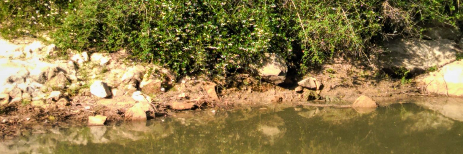 Susri1210's profile banner image