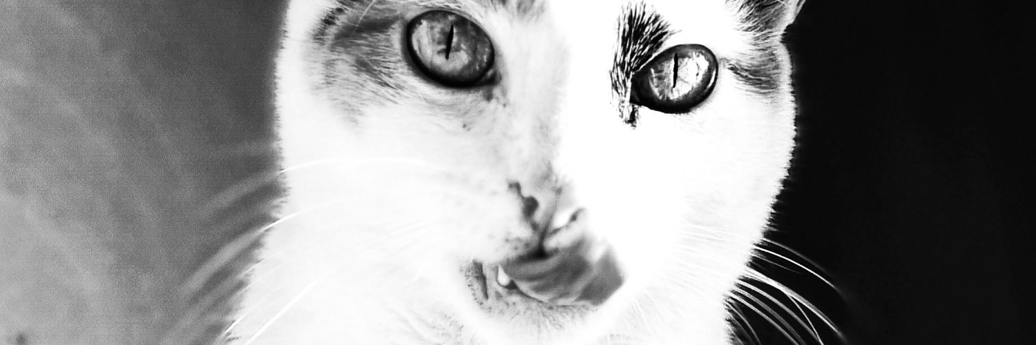 jaggerNFT's profile banner image