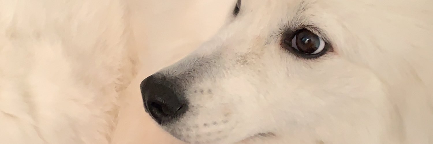 heyitrei's profile banner image