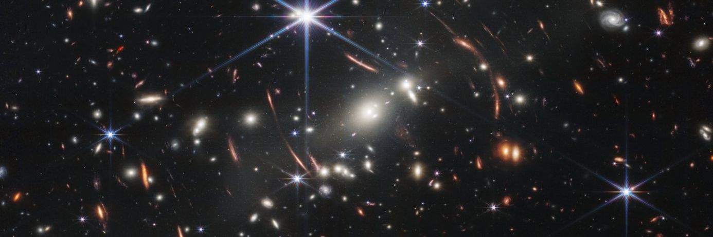 Chosen Undead banner