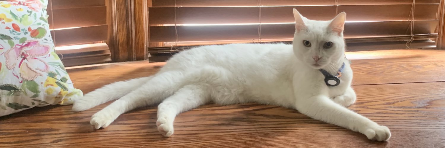 InspectorJabear's profile banner image
