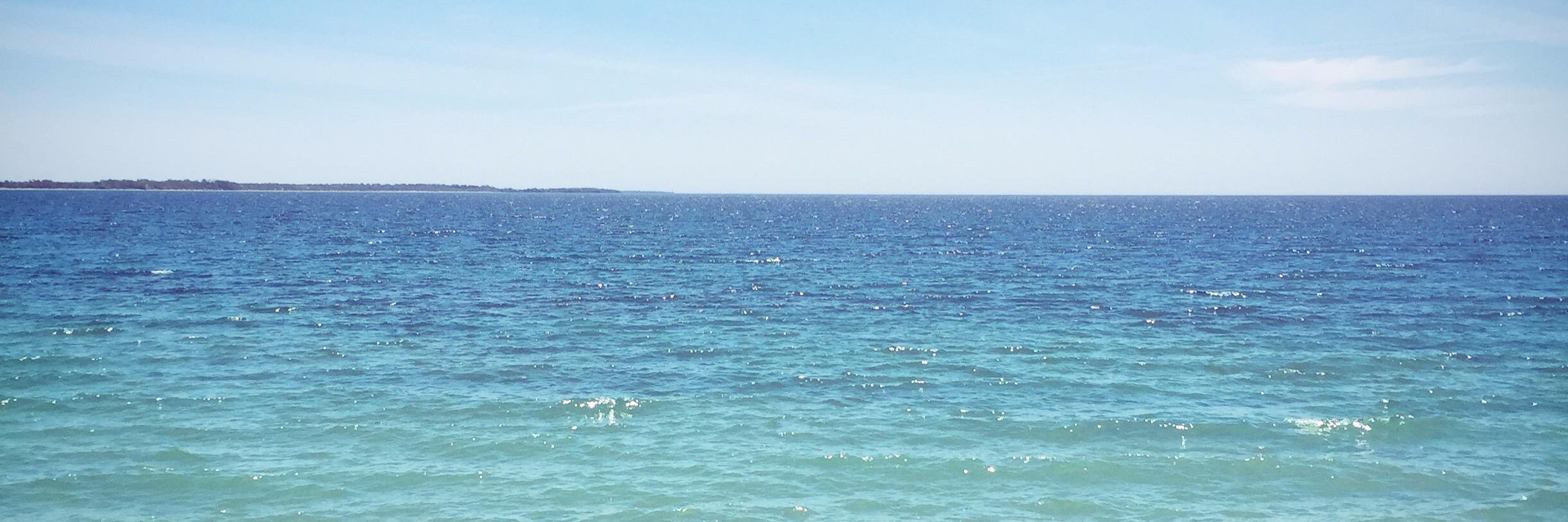 Katrina Bolak banner