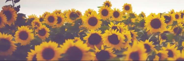 KCox__'s profile banner image