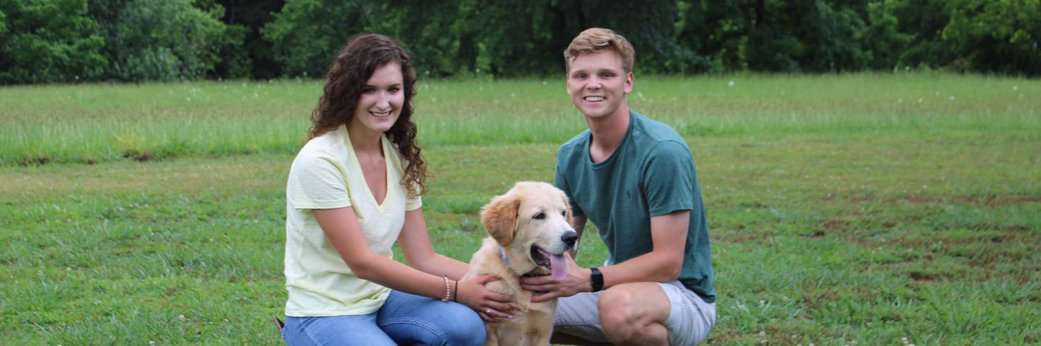 brockdavi's profile banner image