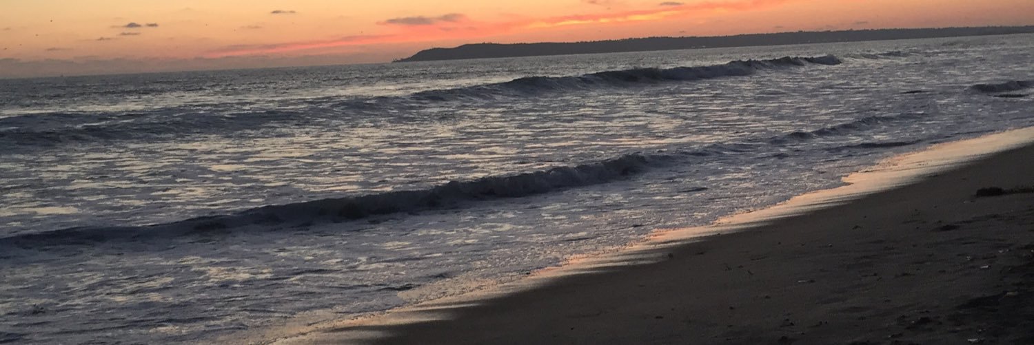 Em_Lily23's profile banner image