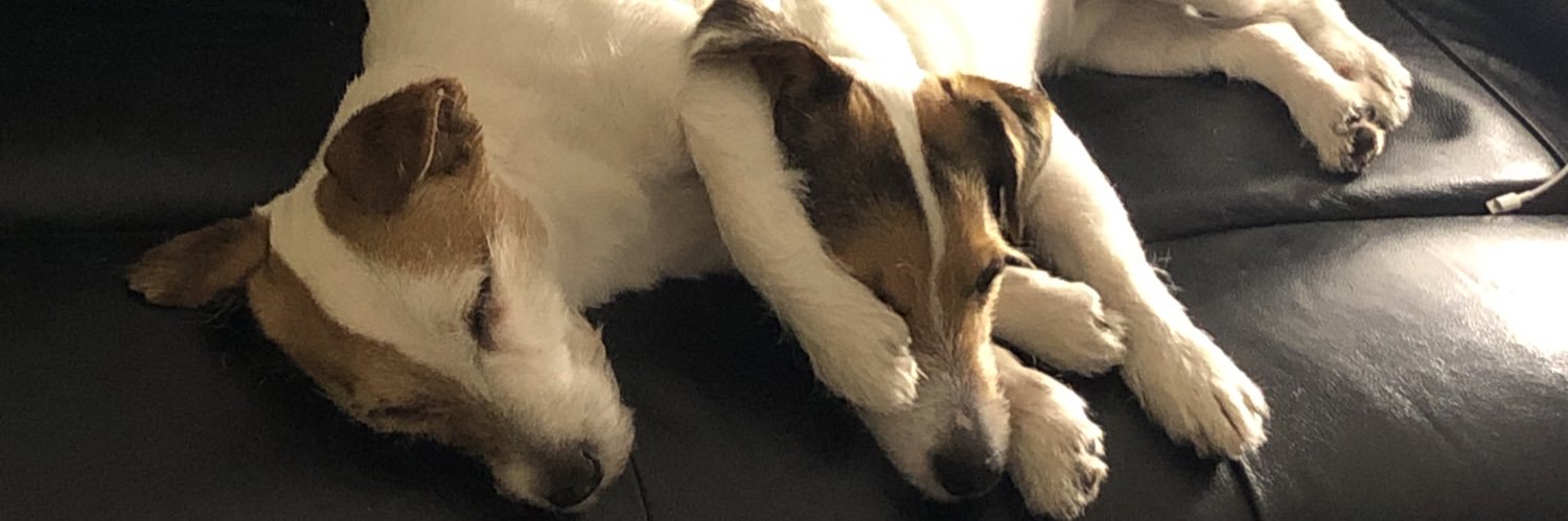 dreenie82's profile banner image