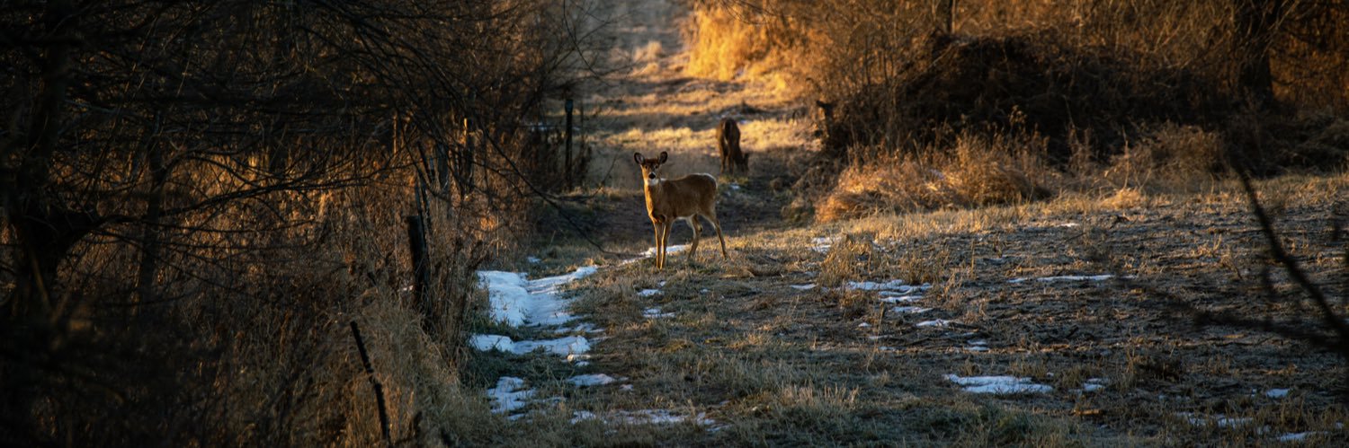 Nick Henrichs banner
