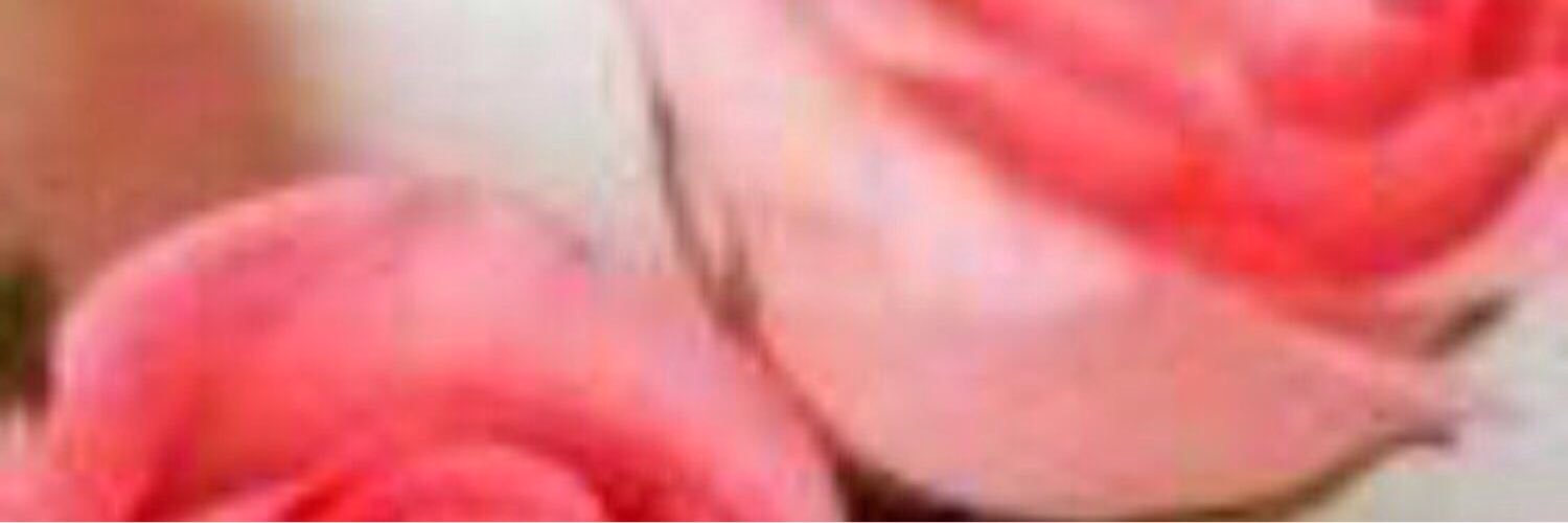 magicwh's profile banner image