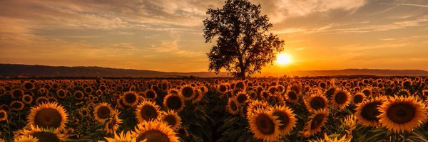 DavisNaquan Profile Banner