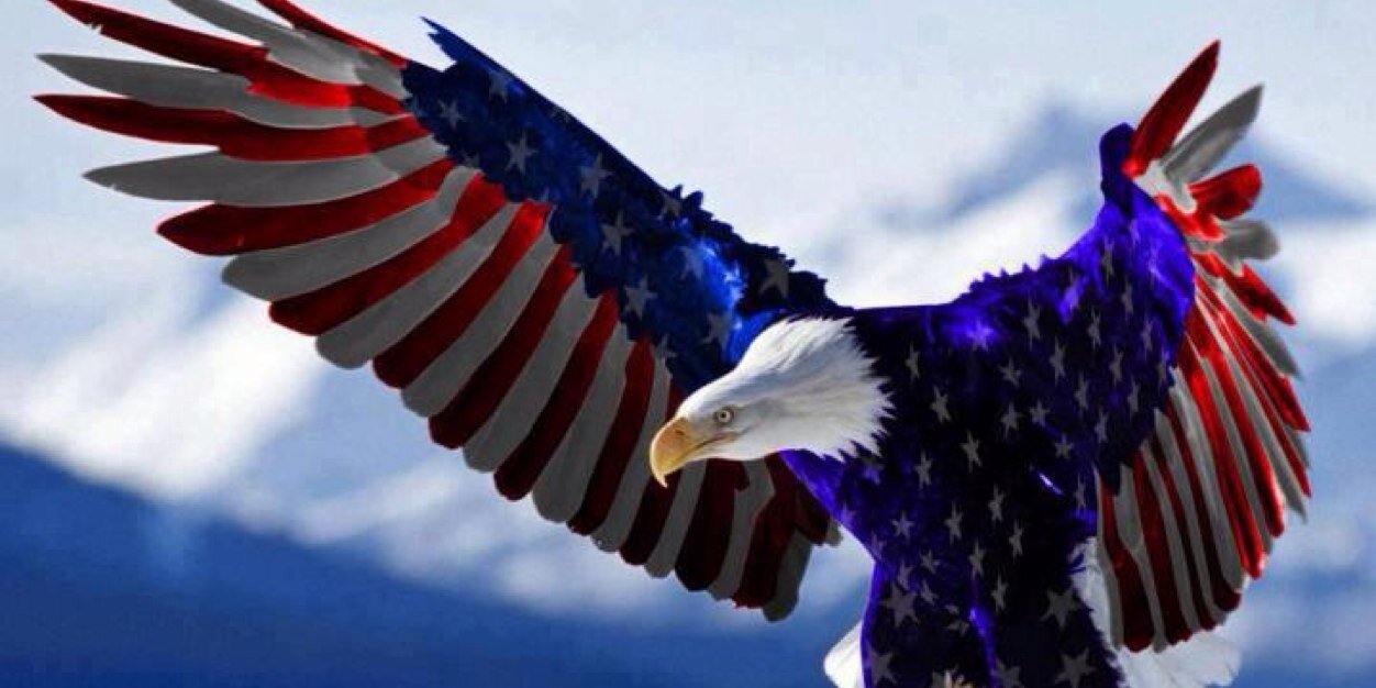birddog0001's profile banner image