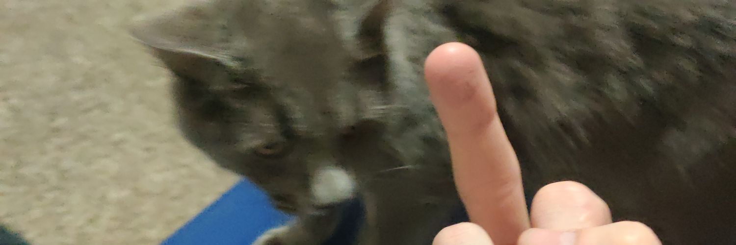 ch6ney's profile banner image