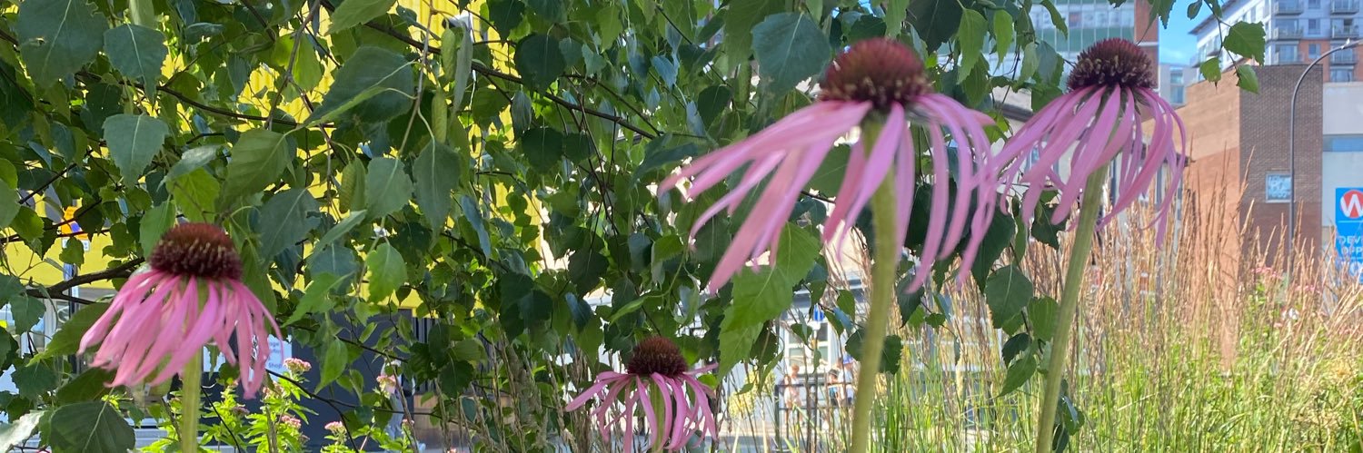 LizzieBushby's profile banner image