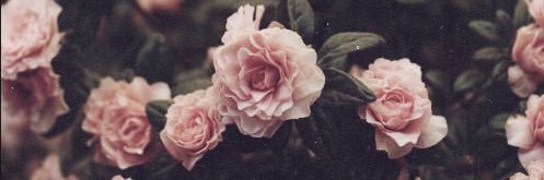caseycurcio2's profile banner image