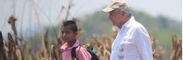 Taquito de Frijol's banner