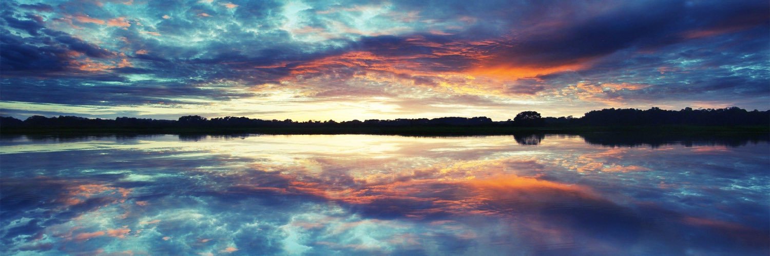 thewildsam's profile banner image