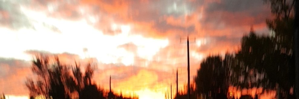 tolsbee's profile banner image